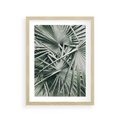 Plakat w ramie 30x40 - Palmy w Zgaszonej Zieleni - palmy, tropikalne liście - rama drewno