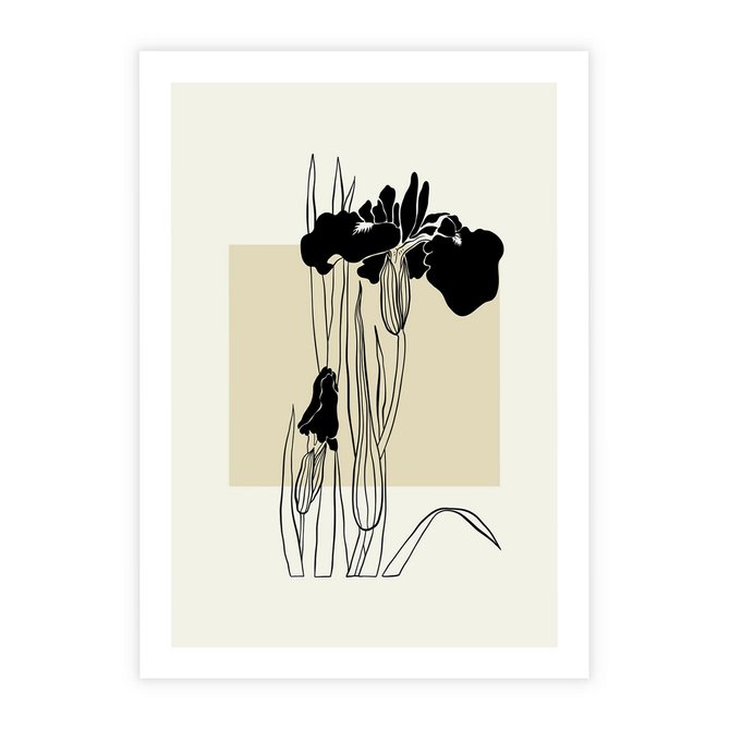 Plakat bez ramy 21x30 - Rozkwitające w konturach - irys, kwiaty