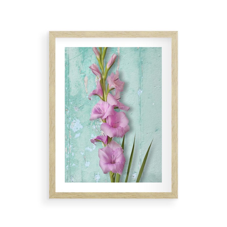 Plakat w ramie 30x40 - Piękno w delikatności - kwiaty, różowe - rama drewno