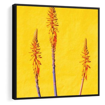 Obraz w ramie 50x50 - Radość Natury - kolor, kwiaty - rama czarna