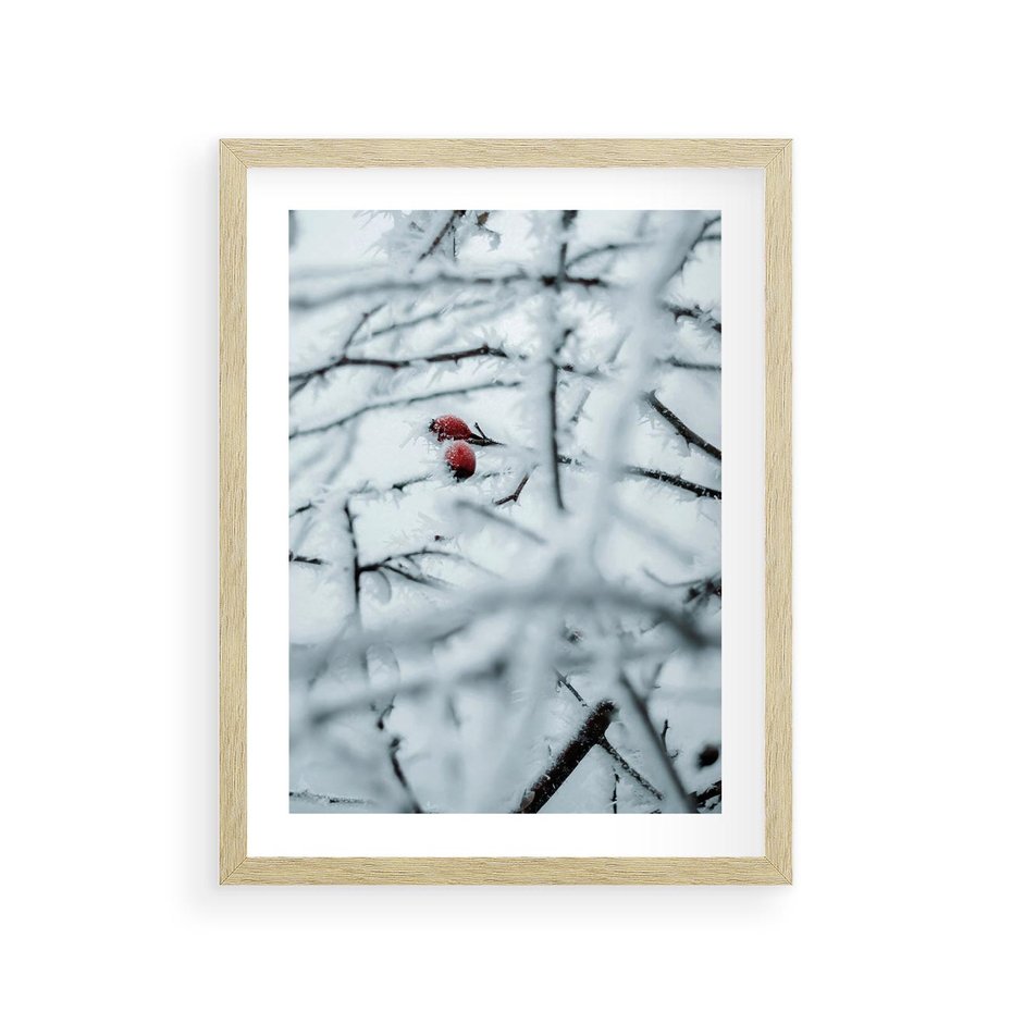 Plakat w ramie 30x40 - Zima w Detalu: Gałęzie ze Szronem i Śniegiem - śnieg, zima - rama drewno
