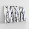 Obraz na płótnie 70x50 - Delikatność brzóz - brzozy, las