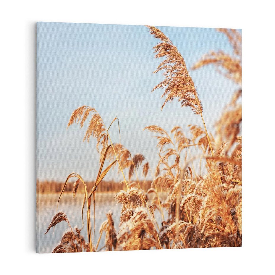 Obraz na płótnie 40x40 - Wyraz Stylu - trawy, boho