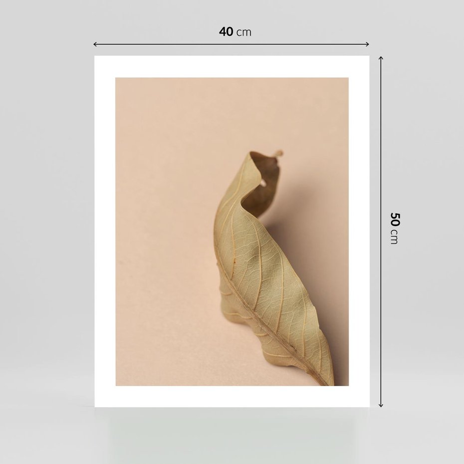 Plakat bez ramy 40x50 - Boho suszone liście - suszony, liść