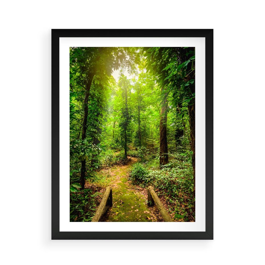 Plakat w ramie 50x70 - Współistnienie z naturą - drzewa, las - rama czarna