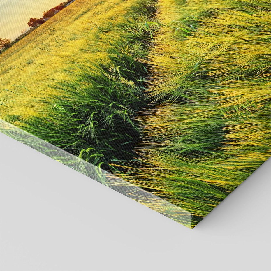 Obraz na płótnie 70x50 - Idylliczna łąka - łąka, natura