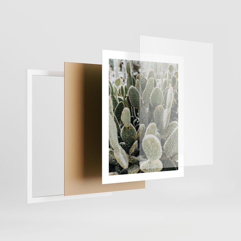 Plakat w ramie 40x50 - Kaktusowa Harmonia - kaktusy, fotografia - rama biała