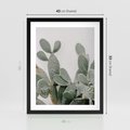 Plakat w ramie 40x50 - Imponujący Kaktus - duży kaktus, opuncja - rama czarna