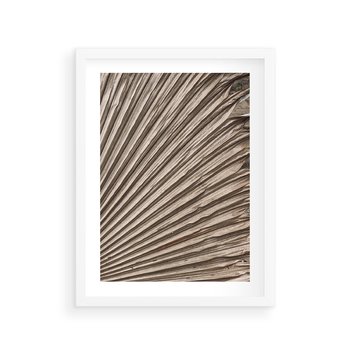 Plakat w ramie 50x70 - Liść Palmy w Wyjątkowej Kompozycji - suchy liść palmy, boho styl - rama biała