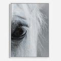 Obraz w ramie 50x70 - Oko Mocy - czarno białe zdjęcie, zbliżenie makro na oko konia - rama biała
