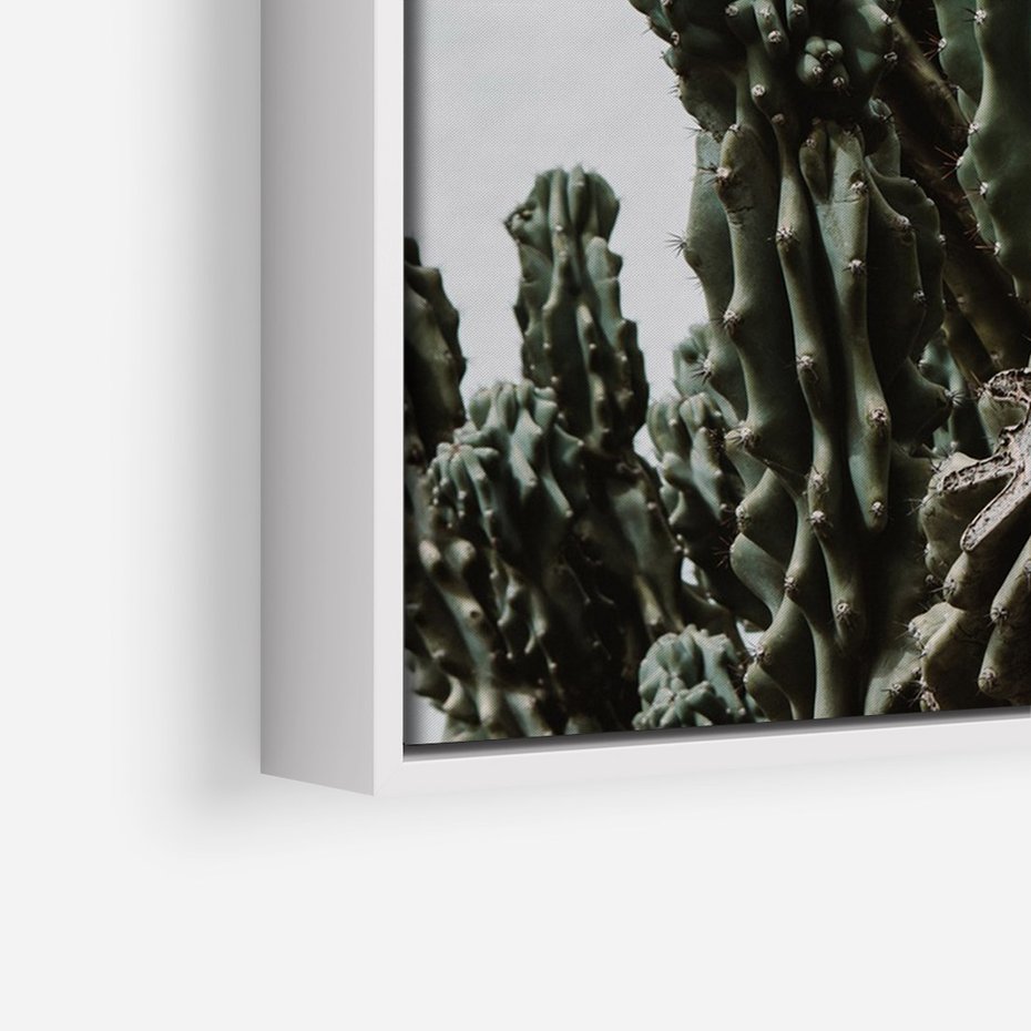 Obraz w ramie 50x70 - Boho oaza wśród kaktusów - kaktusy, pustynia - rama biała