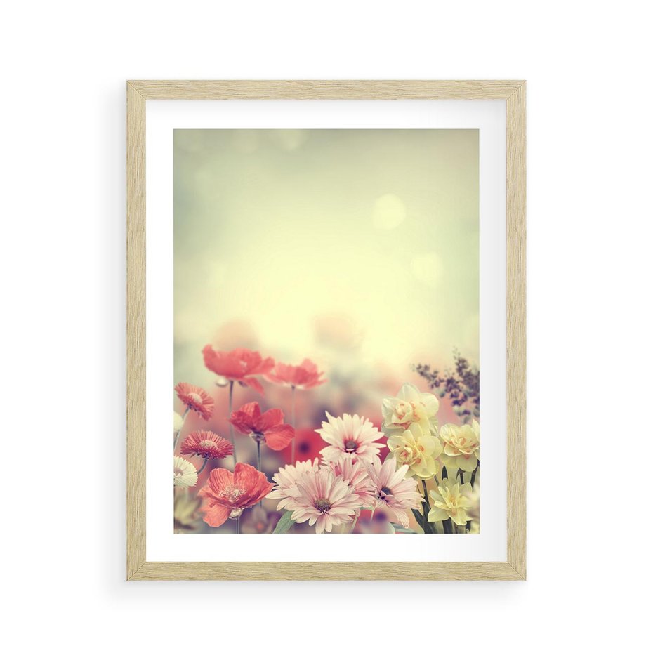 Plakat w ramie 40x50 - Delikatne kwiaty pastelowe - kwiaty, pastelowe - rama drewno