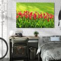Obraz na płótnie 120x80 - Tulipanowy raj - kwiat, kwiaty