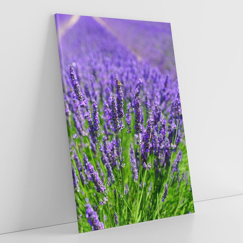 Obraz na płótnie 80x120 - Lawendowe pola piękno natury - lawenda, kwiaty