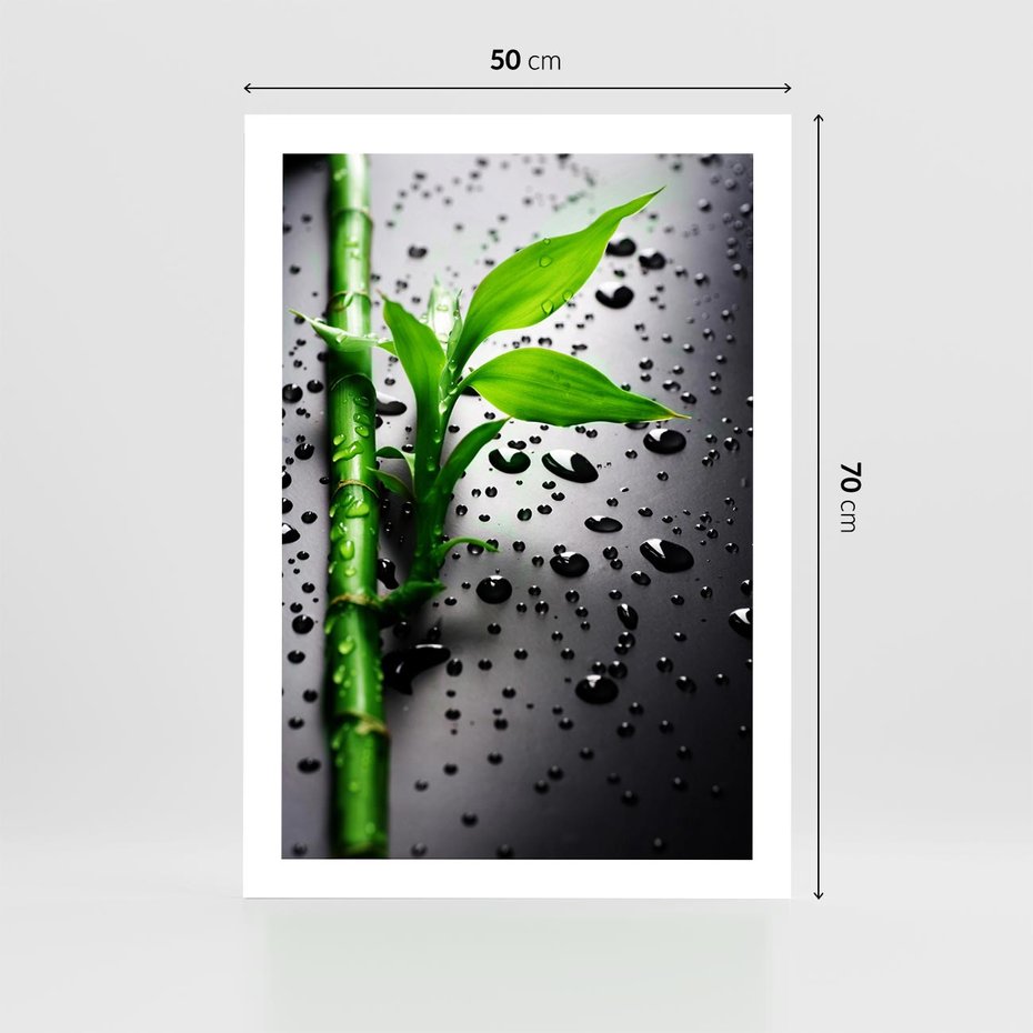 Plakat bez ramy 50x70 - Bambusowa Harmonia - bambus, liście