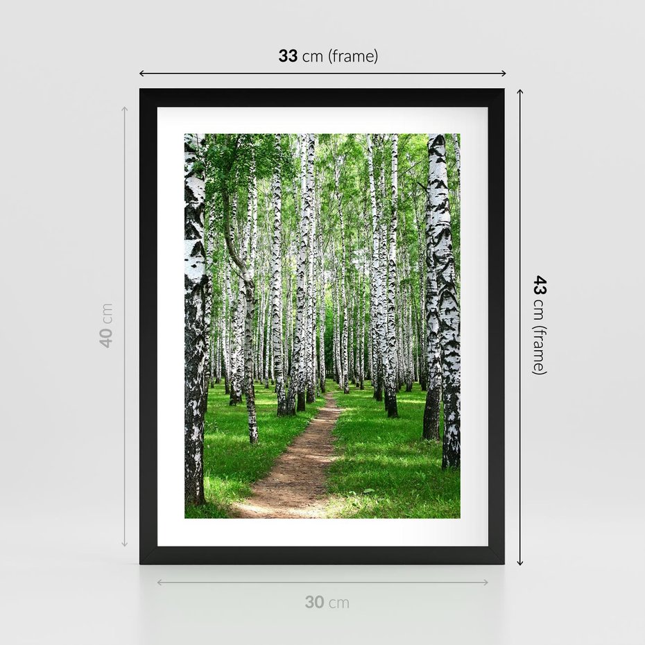 Plakat w ramie 30x40 - Bajkowy las pełen brzóz - las, brzozy - rama czarna