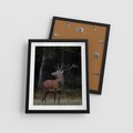 Plakat w ramie 40x50 - Spotkanie z naturą - jeleń, las - rama czarna