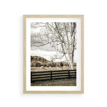 Plakat w ramie 30x40 - Drzewa i Snopki Siana - farma, drzewa - rama drewno