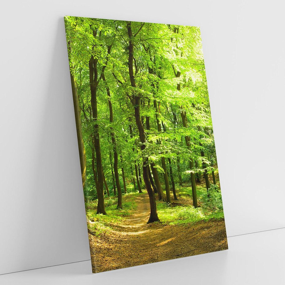 Obraz na płótnie 80x120 - Mistyka leśnych drzew - las, drzewa