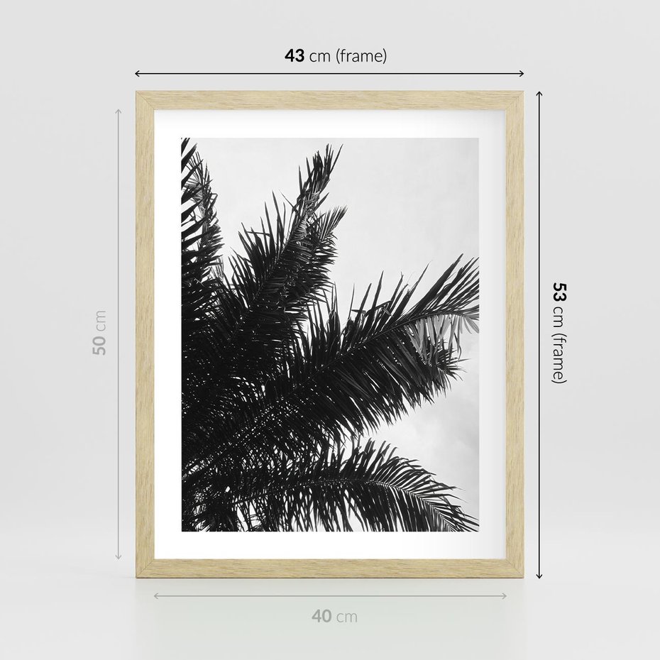 Plakat w ramie 40x50 - Czas Zapomnienia - palmy, czarno biała fotografia - rama drewno