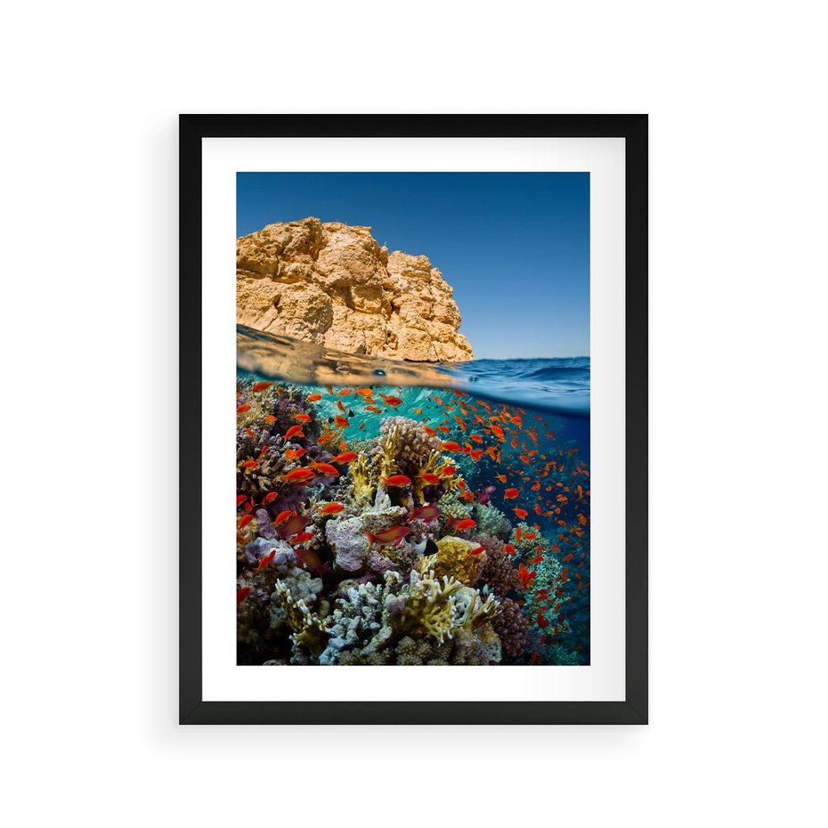 Plakat w ramie 30x40 - Rafa koralowa w oceanie - rafa, koralowa - rama czarna