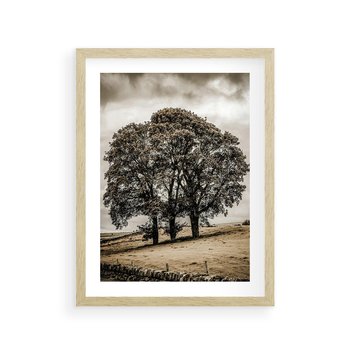 Plakat w ramie 40x50 - Spokojna Osamotniona Chwila - beżowe kolory, samotne drzewo na polu - rama drewno