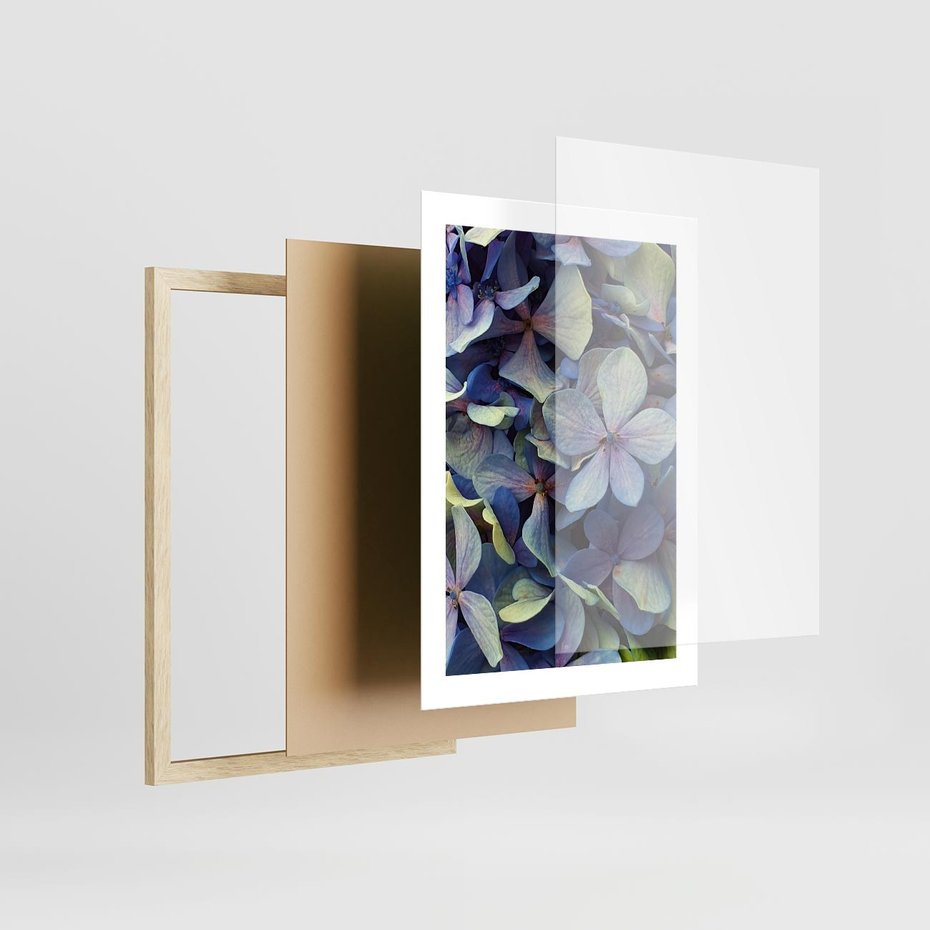 Plakat w ramie 30x40 - Hortensja - delikatność kwiatów - hortensja, kwiaty - rama drewno