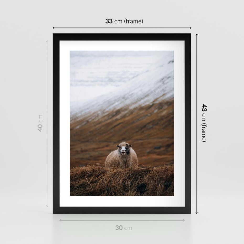 Plakat w ramie 30x40 - Owiecka panorama - góry, owca - rama czarna