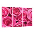 Obraz na płótnie 120x80 - Romantyczne róże w pełnym rozkwicie - róże, kwiaty
