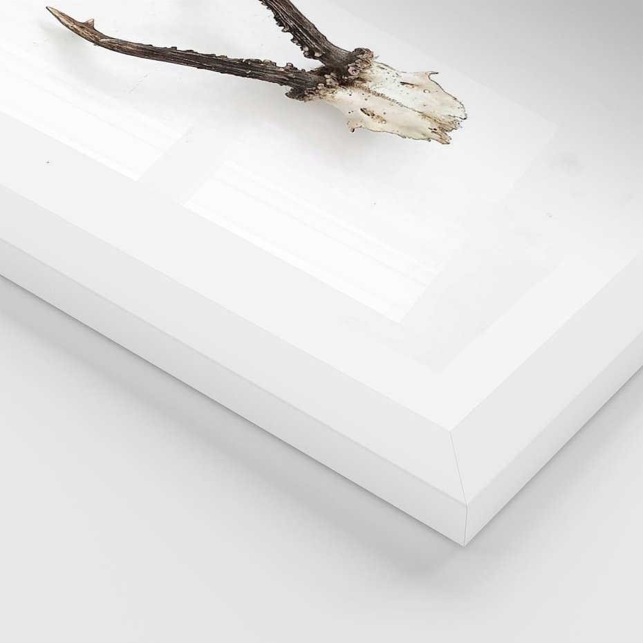 Plakat w ramie 50x70 - Minimalistyczne Poroże Jelenia - poroże jelenia na ścianie, minimalizm - rama biała