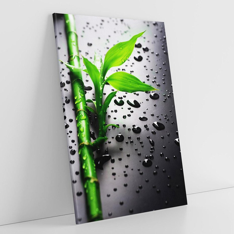 Obraz na płótnie 70x100 - Bambusowa Harmonia - bambus, liście