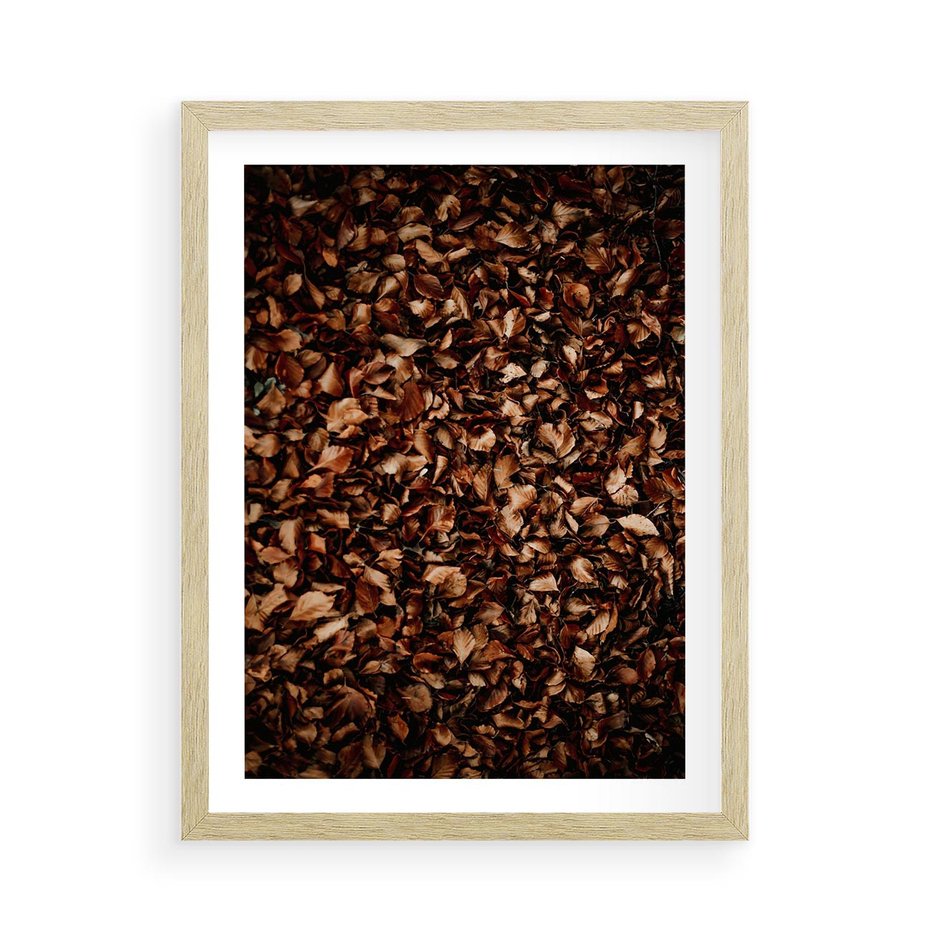 Plakat w ramie 50x70 - Jesienny Dywan - dywan z suchych liści, jesień - rama drewno