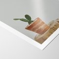 Plakat bez ramy 40x50 - Kaktus w Doniczce - minimalizm, kaktur w doniczce