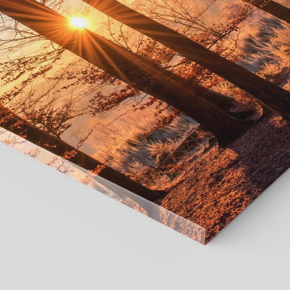 Obraz na płótnie 80x120 - Piękno lasu - las, drzewa