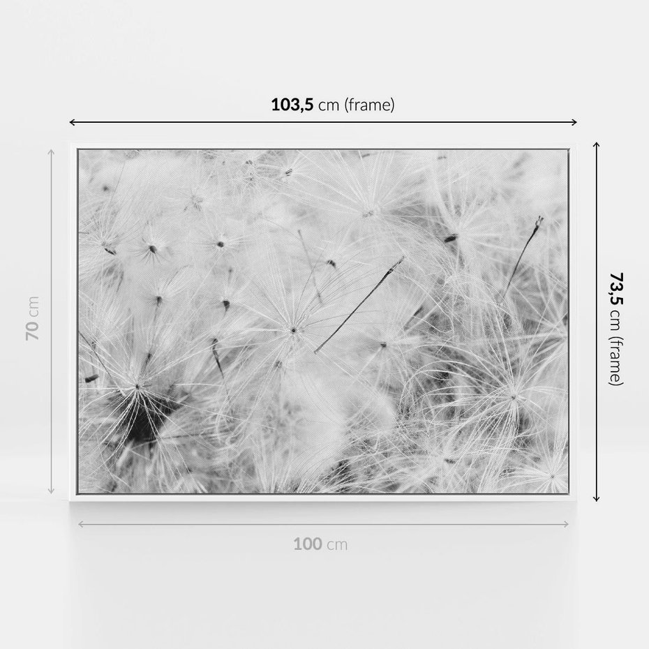 Obraz w ramie 100x70 - Zdmuchnięty Puch - dmuchawce, delikatne - rama biała