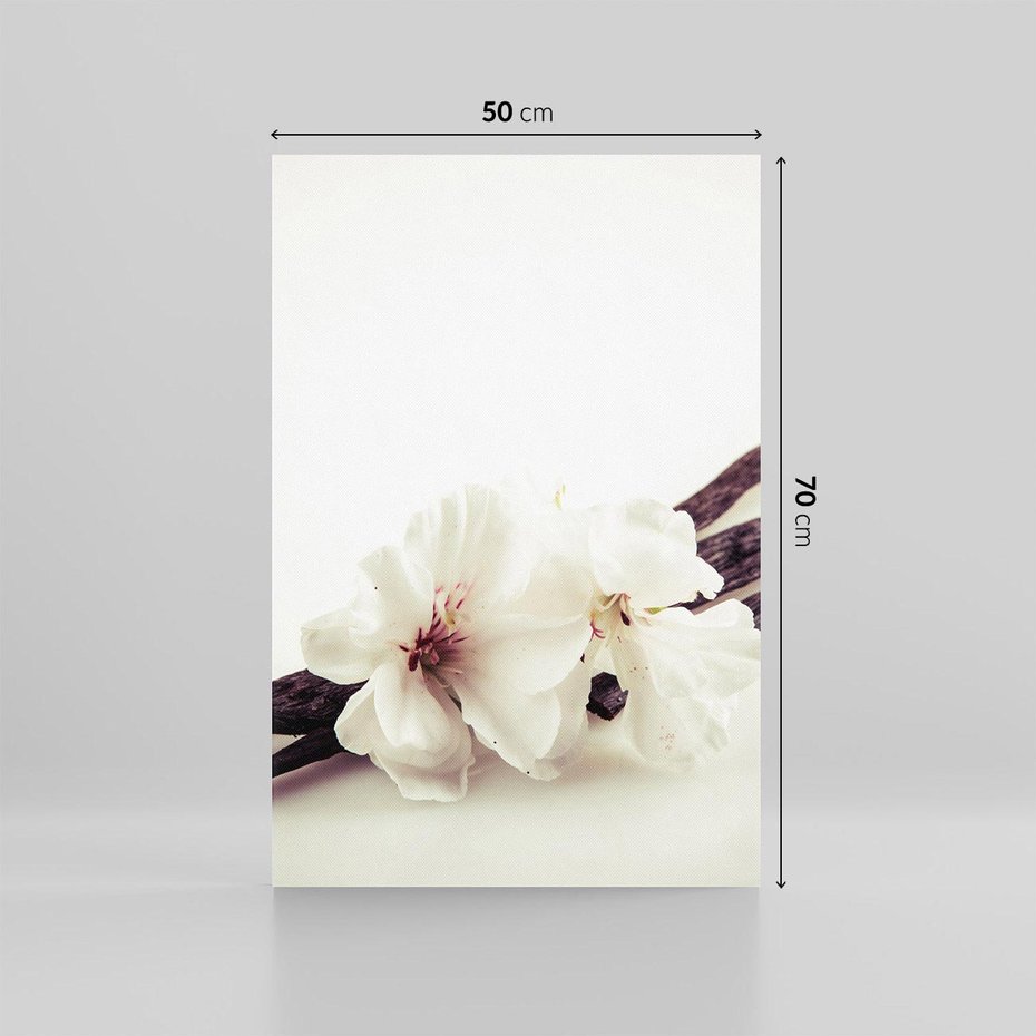 Obraz na płótnie 50x70 - Czuła delikatność wanilii - wanilia, kwiaty