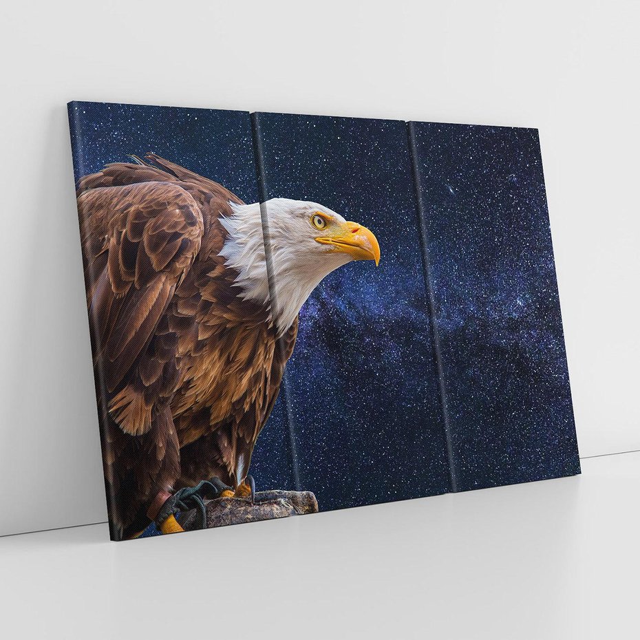 Obraz na płótnie 120x80 - Orzeł w niebieskiej przestrzeni - orzeł, ptak