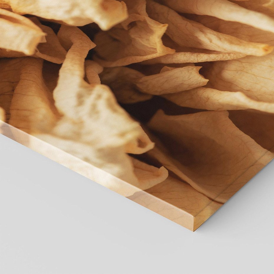 Obraz na płótnie 80x80 - Zjawiskowe zasuszone kwiaty - zasuszone, kwiaty