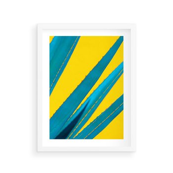 Plakat w ramie 40x50 - Świeżość Natury - aloes, liście - rama biała