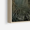 Obraz w ramie 50x50 - Światło w mroku duszy - liście traw, mroczny klimat - rama drewno