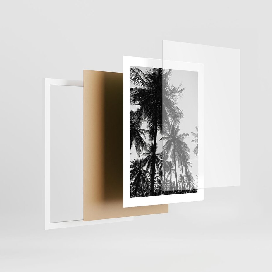 Plakat w ramie 30x40 - Mono Tropiki - palmy, drzewa palmowe - rama biała