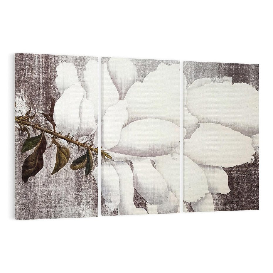 Obraz na płótnie 120x80 - Tekstura Kwiatu - białe kwiaty, duży kwiat