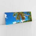 Obraz na płótnie 120x40 - Oaza palm na plaży - palma, plaża