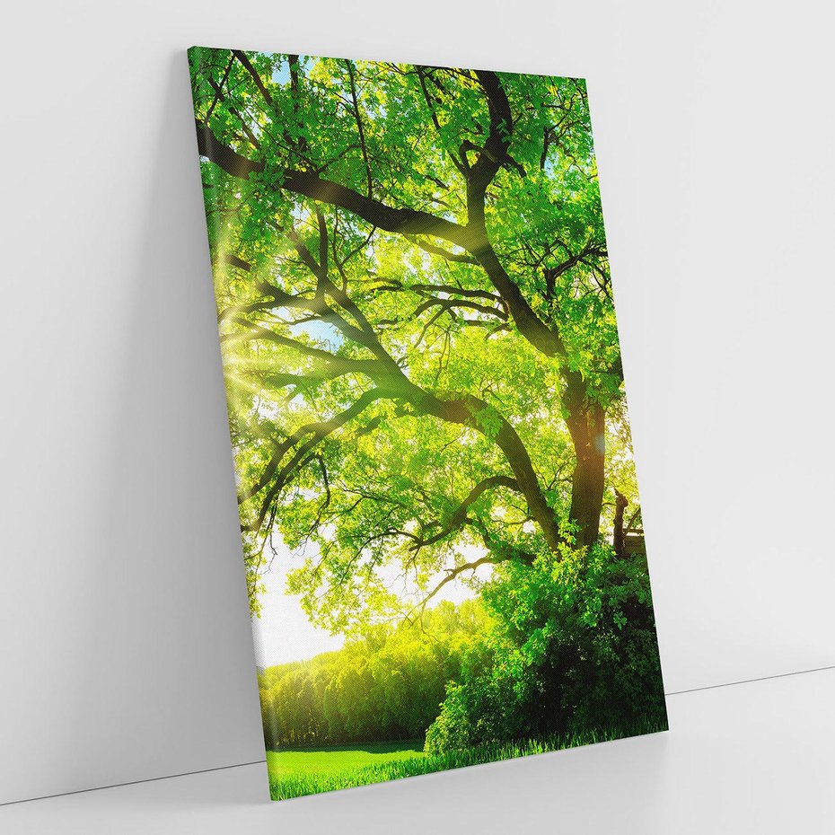 Obraz na płótnie 50x70 - Natura w pełnym rozkwicie - drzewo, niebo