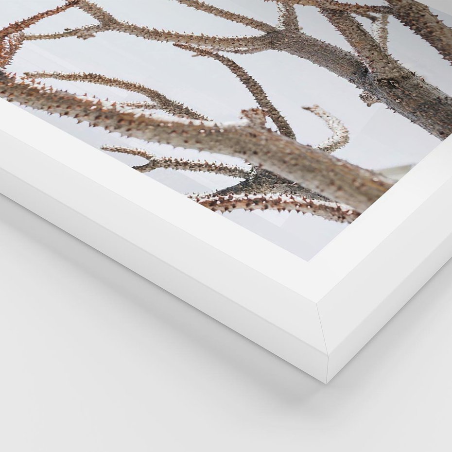 Plakat w ramie 30x40 - Pustynna Harmonia Gałęzi - pustynna roślina, suche gałęzie - rama biała