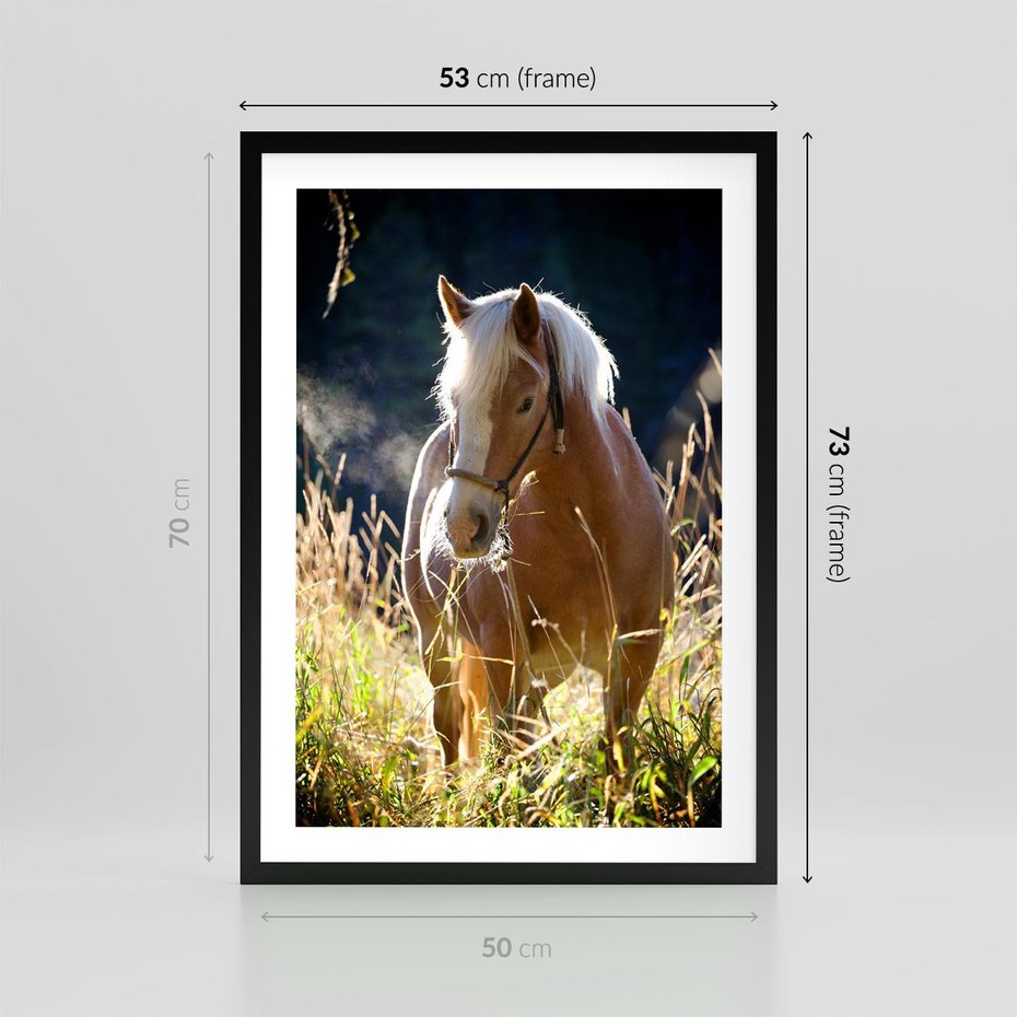 Plakat w ramie 50x70 - Spotkanie konia na łące - koń, łąka - rama czarna