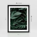 Plakat w ramie 40x50 - Zielone Liście Monstery w Dżungli - zielone liście monstery, dżungla - rama czarna