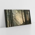 Obraz na płótnie 100x50 - Urok lasu: drzewa w pełnej okazałości - las, drzewa