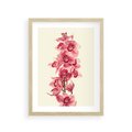 Plakat w ramie 30x40 - Orchidea w spa - relaks - orchidea, spa - rama drewno