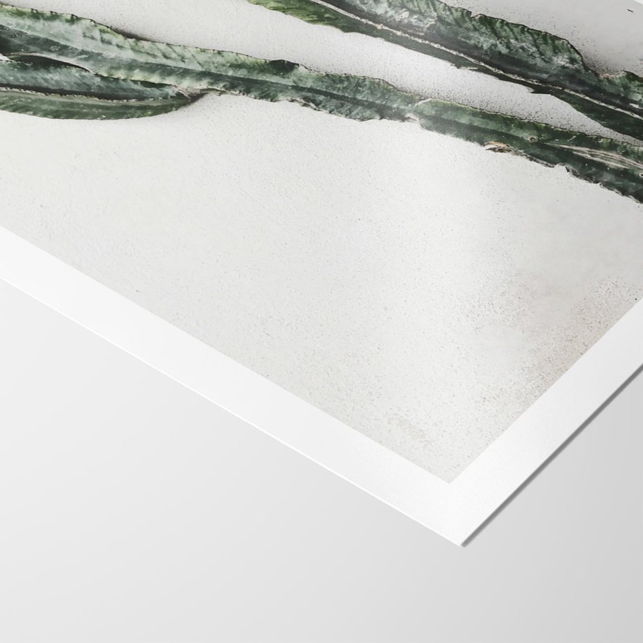 Plakat bez ramy 21x30 - Zielona Roślina z Liśćmi - zielona roślina, liście